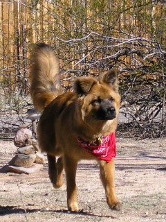 runningb